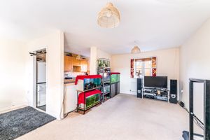 Photo 12- click for photo gallery